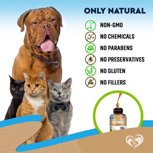 Natural Worm Treatment for Cats & Dogs - Probiotic Herbal Drops