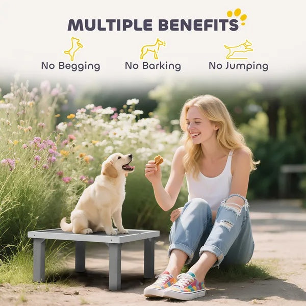 Wooden Dog Training Platform with Ladder - Pet Agility System