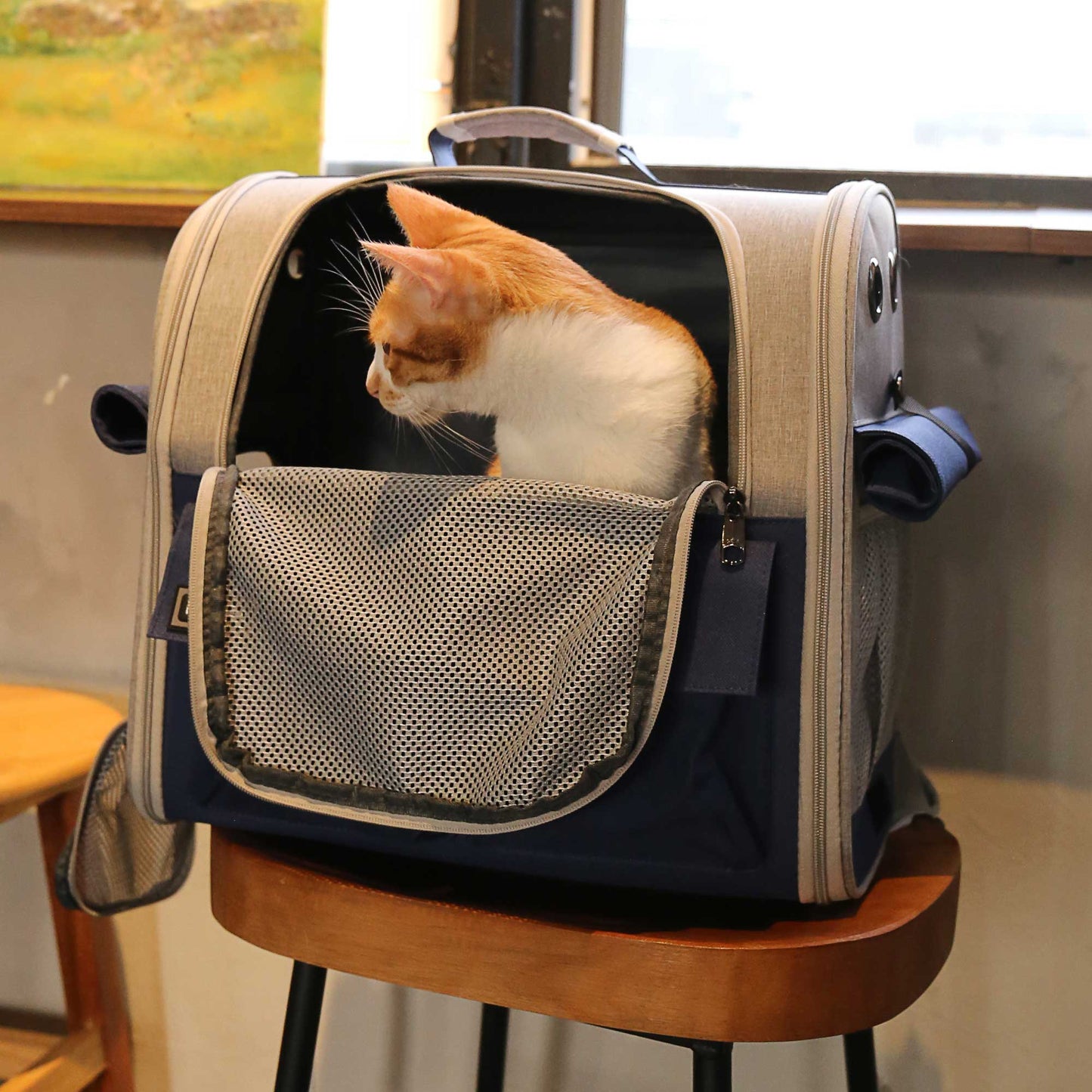Foldable Soft Pet Carrier - Spacious for Dogs & Cats