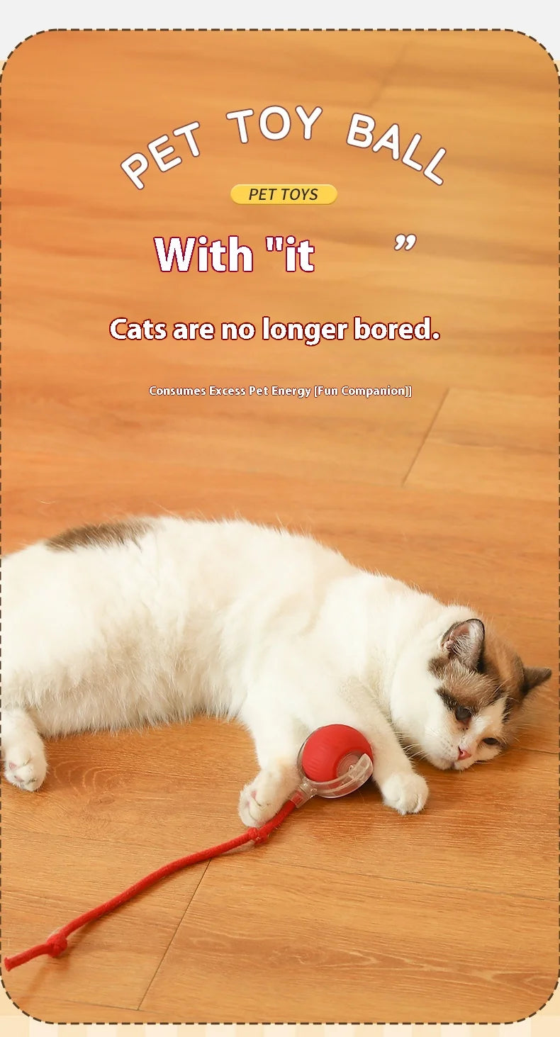 Interactive Cat Ball Toy - Automatic Rolling with Tail, Rechargeable