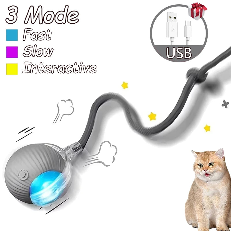 Interactive Cat Ball Toy - Automatic Rolling with Tail, Rechargeable
