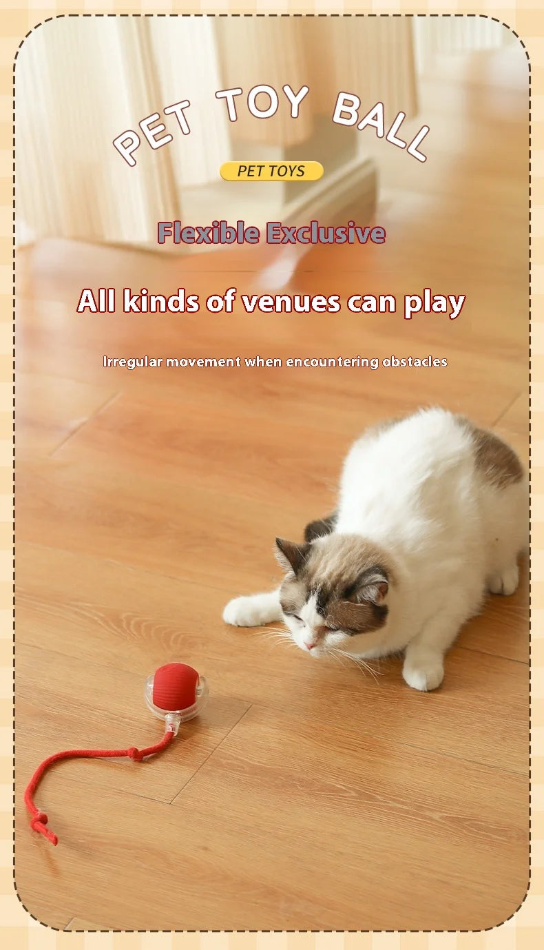 Interactive Cat Ball Toy - Automatic Rolling with Tail, Rechargeable