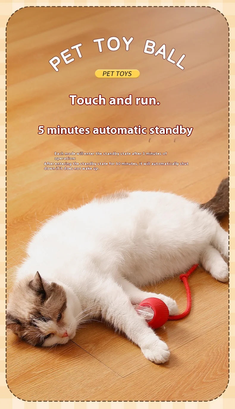 Interactive Cat Ball Toy - Automatic Rolling with Tail, Rechargeable