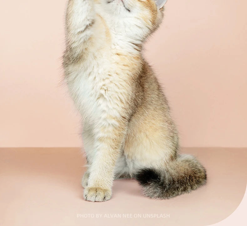 Electric Pet Nail Trimmer & Grinder with LED - For Dogs & Cats