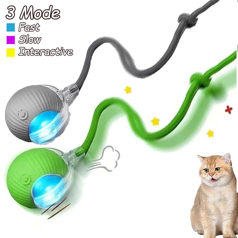 Interactive Cat Ball Toy - Automatic Rolling with Tail, Rechargeable