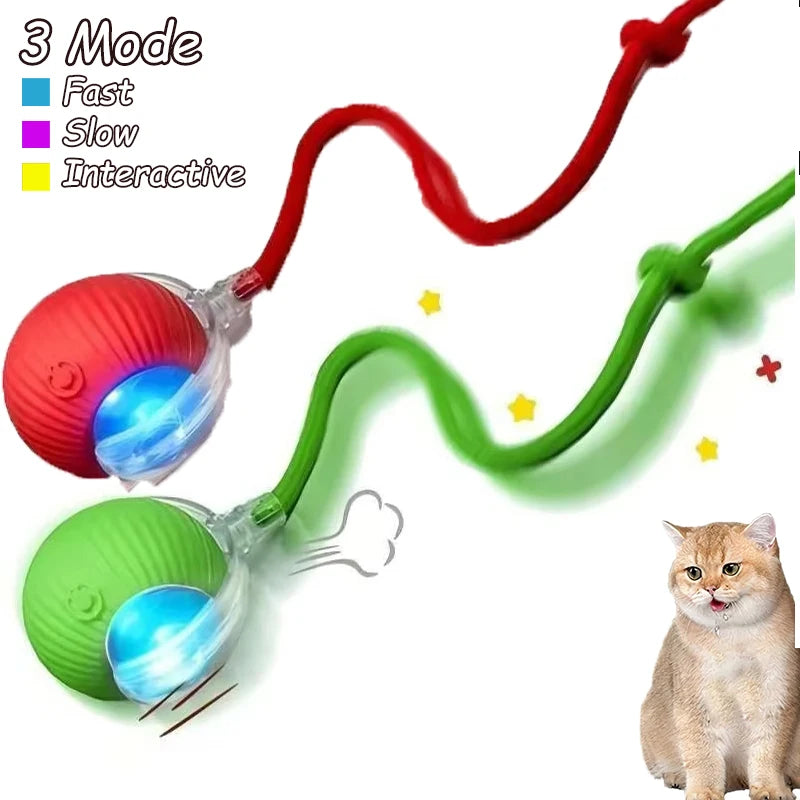 Interactive Cat Ball Toy - Automatic Rolling with Tail, Rechargeable