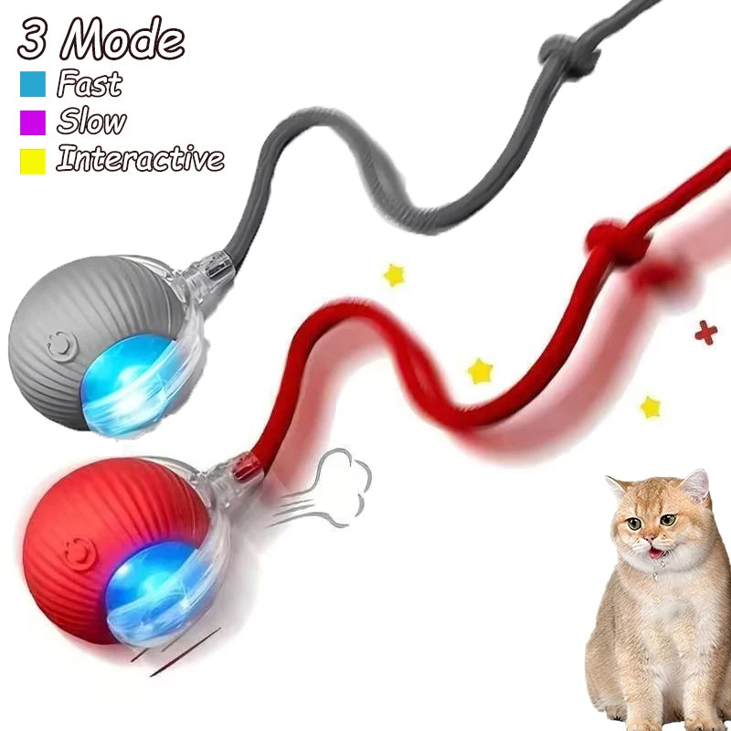 Interactive Cat Ball Toy - Automatic Rolling with Tail, Rechargeable
