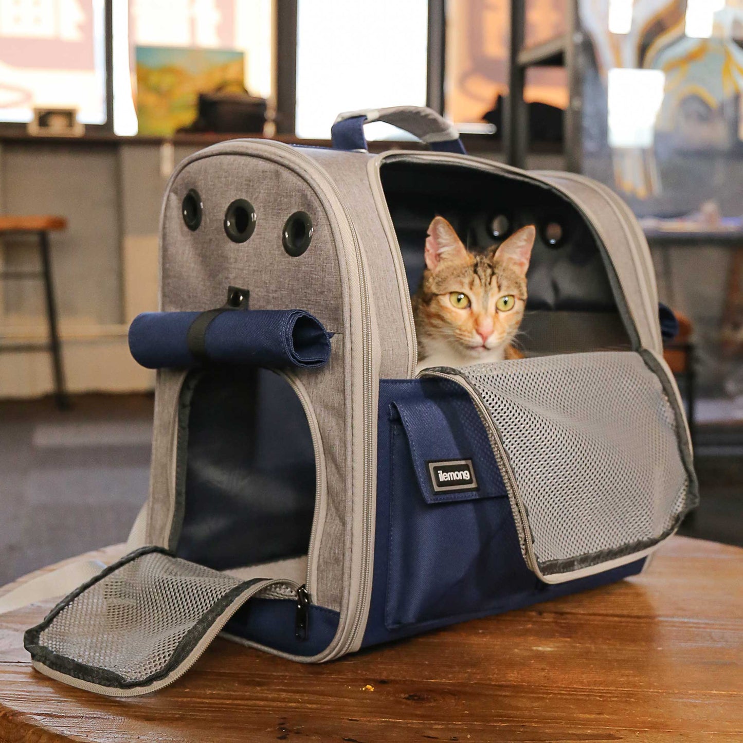 Foldable Soft Pet Carrier - Spacious for Dogs & Cats