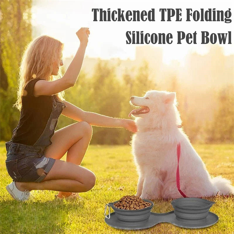 Foldable Silicone Double Pet Bowl - Portable for Dogs & Cats