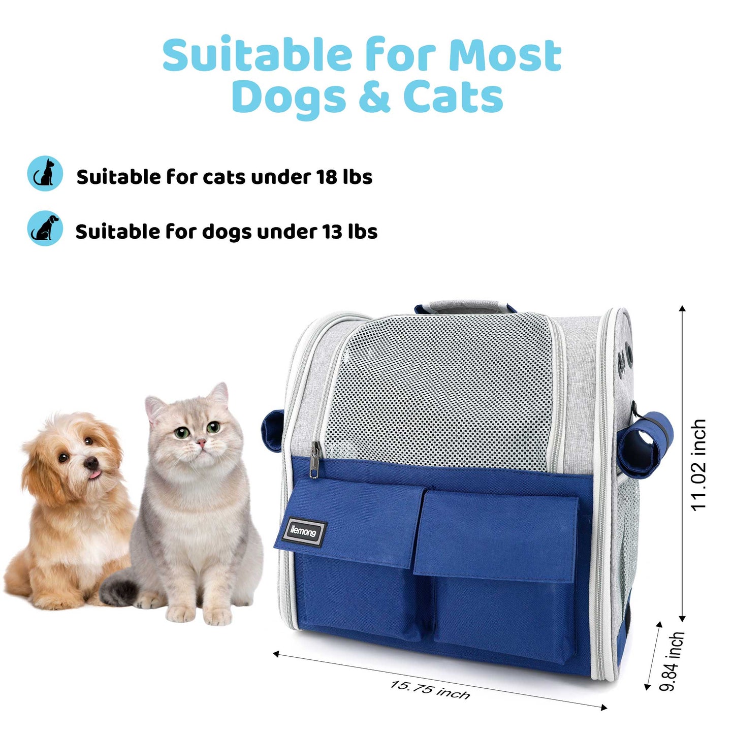Foldable Soft Pet Carrier - Spacious for Dogs & Cats