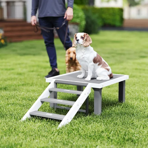 Wooden Dog Training Platform with Ladder - Pet Agility System
