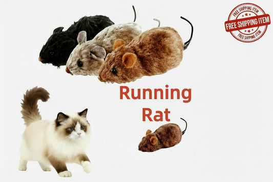 Wind-Up Mouse Toy for Cats & Small Dogs - Battery-Free Interactive